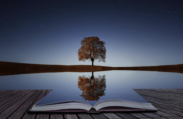 reflection